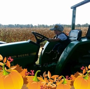 Meet your Posher, Wanda